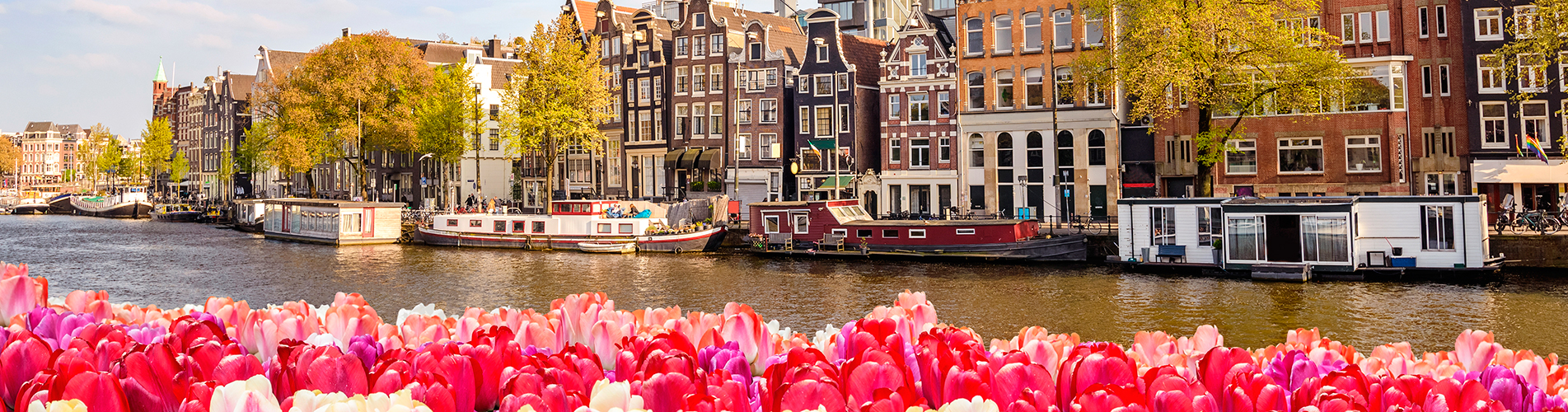 Стоимость билетов на самолет в Амстердам