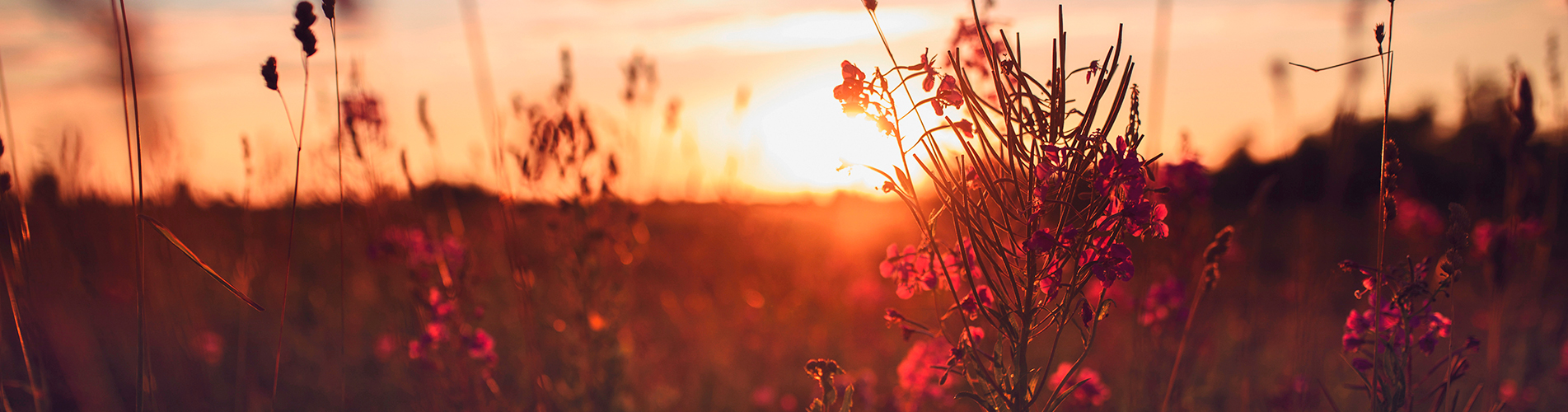 Авиакасса №1 в Чокурдах