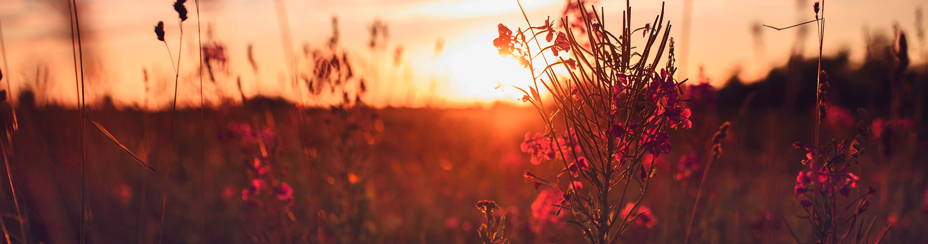 Авиакасса №1 в Ербогачене