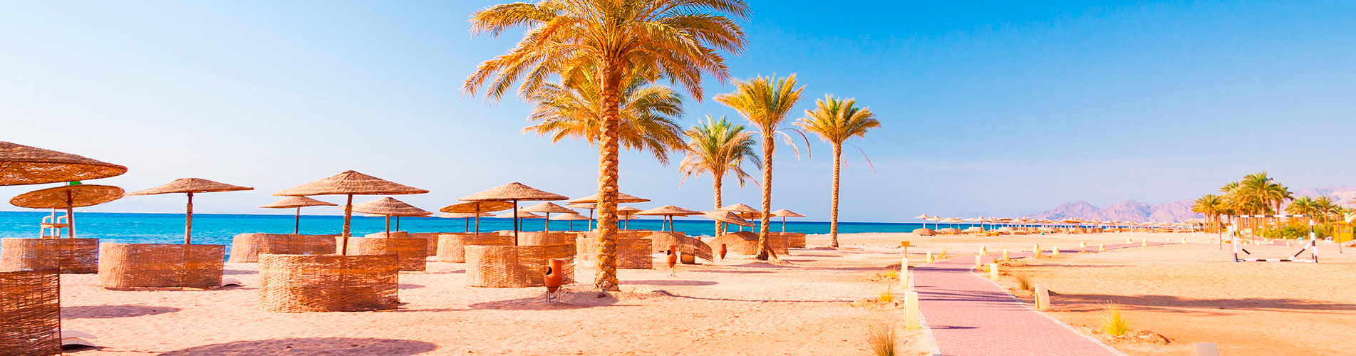 Авиакасса №1 в Хургаде