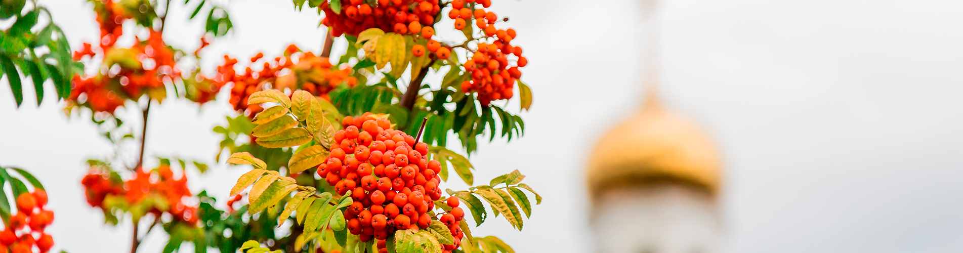 Авиакасса №1 в Тикси