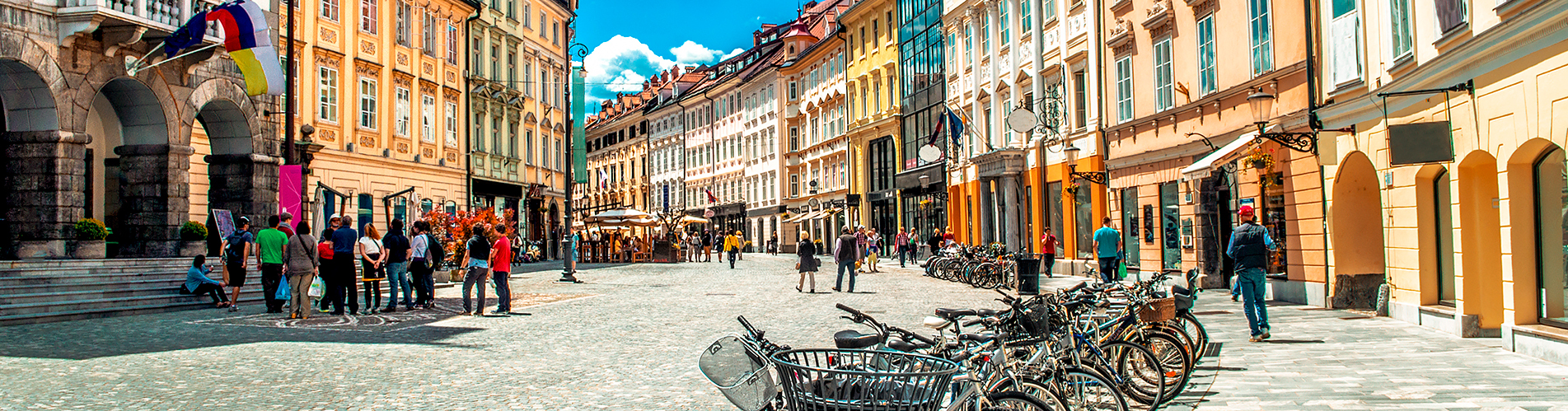 Стоимость билетов на самолет в Любляну