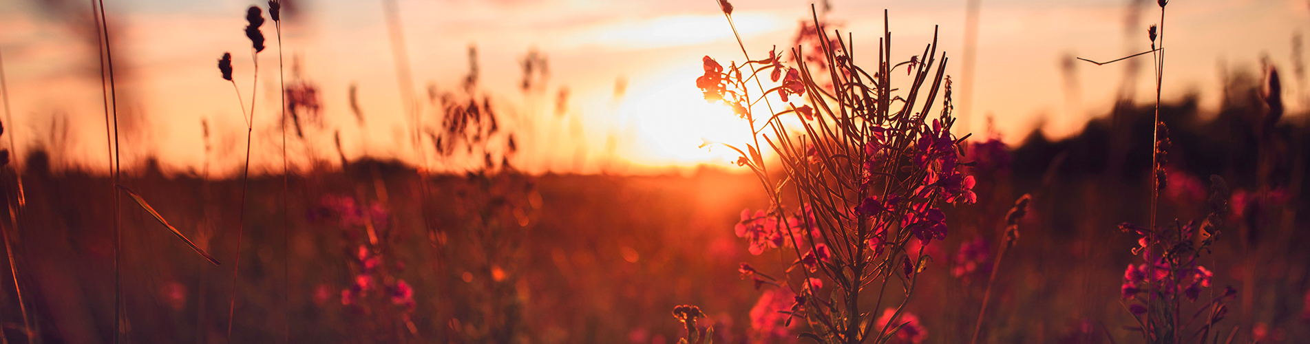 Авиакасса №1 в Печоре