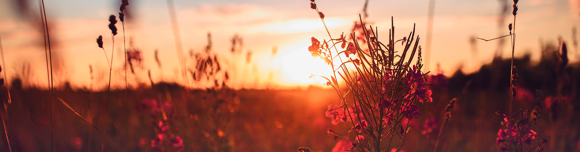 Стоимость билетов на самолет в Псков