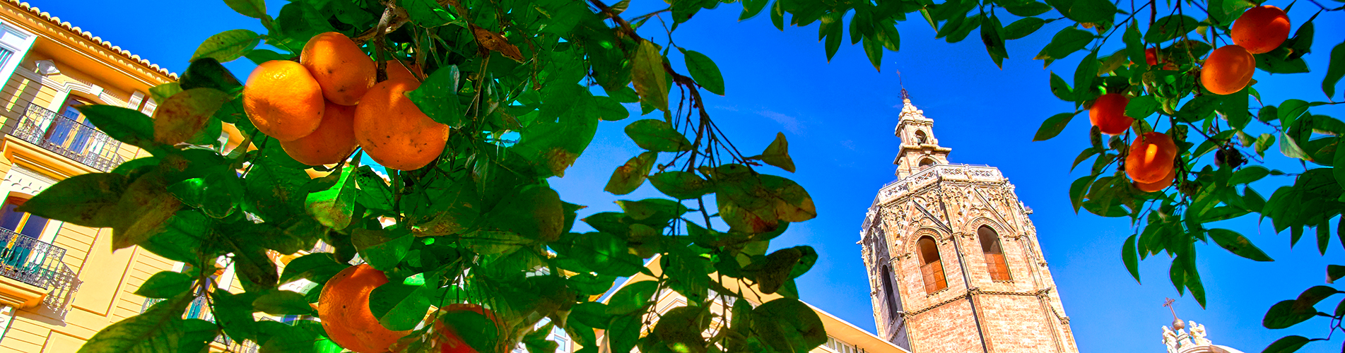 Стоимость билетов на самолет в Валенсию